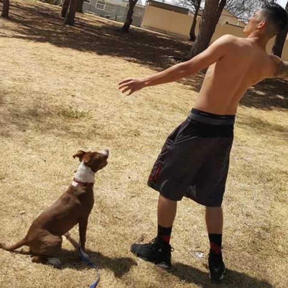 Meet your Posher, Joshua - Picture 1 of 1